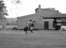 Les cow-boys de la Pampa