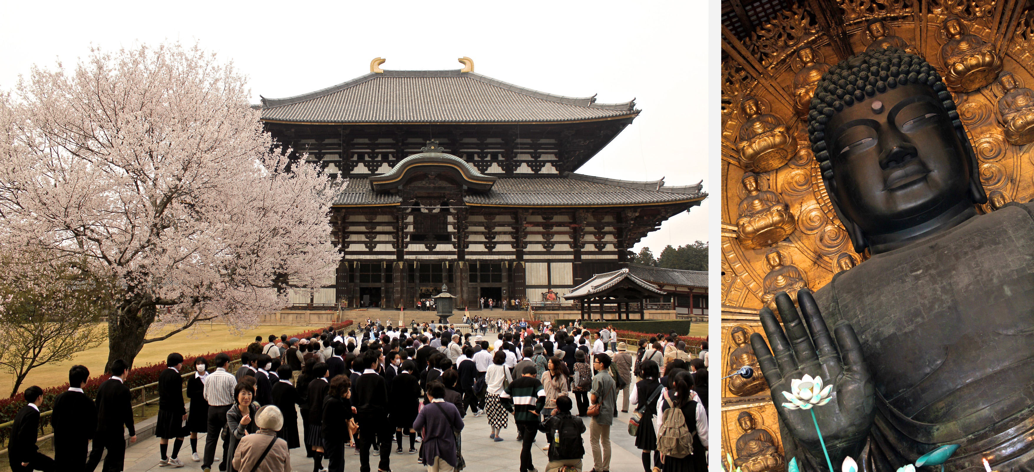 Mariage heureux au japon entre traditions et modernité