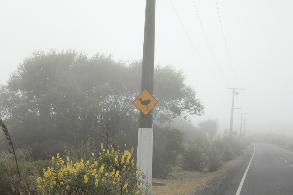 Heureusement les panneaux jaunes sont bien visibles, même à travers la pluie et le brouillard !