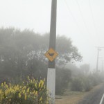 Heureusement les panneaux jaunes sont bien visibles, même à travers la pluie et le brouillard !