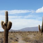 Le nord-ouest andin autour de Salta