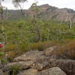 Ascension du Mont Zéro dans la partie nord des Grampians