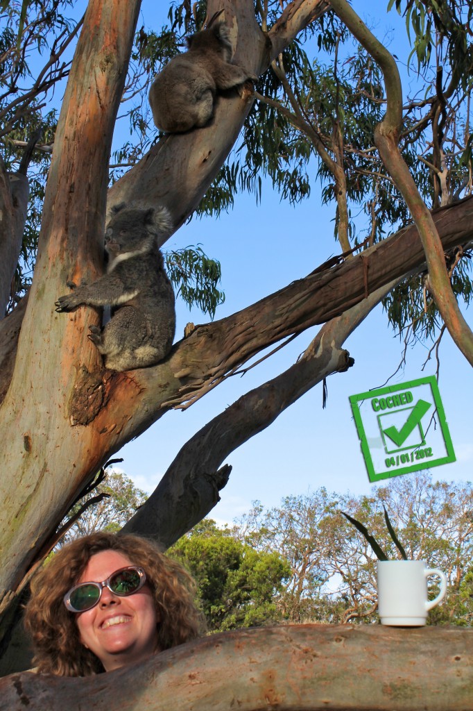 Partage d'un thé à l'eucalyptus avec une touriste