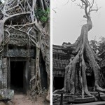 Temple de Ta Prohm