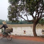 Habitante parcourant en vélo les routes de campagne des alentours d'Angkor