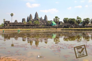 Le canard pataugeant dans l'un des bassins devant le temple de Angkor Wat