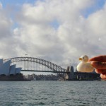 Le canard sur le Harbour Bridge contemplant l'opéra de Sydney