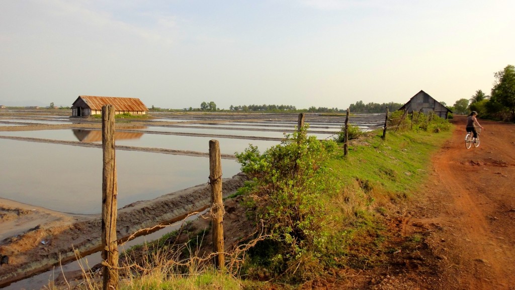 Marais salants de Kampot