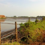 Marais salants de Kampot