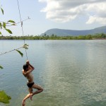 Nico ou Tarzan au dessus du fleuve