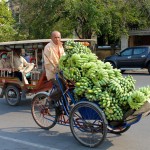 Livreur de bananes en cyclo-pousse