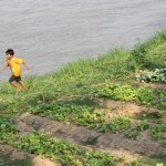 Potager au bord du Tonlé Sap en plein coeur de Phnom Penh