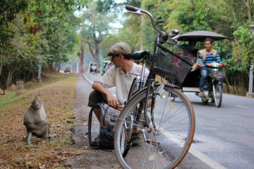 Rencontre avec les singes d'Angkor