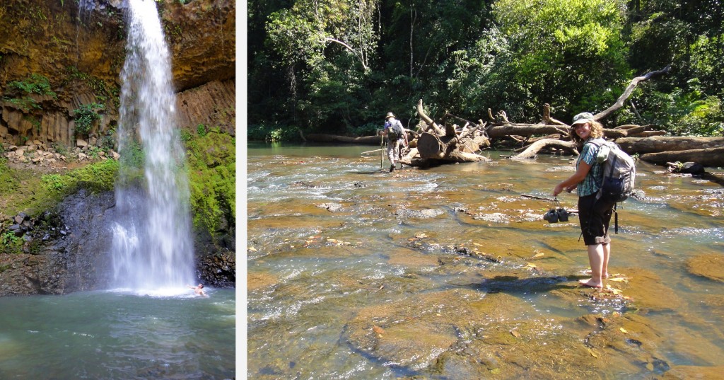 Cascade et rivière rafraîchissantes