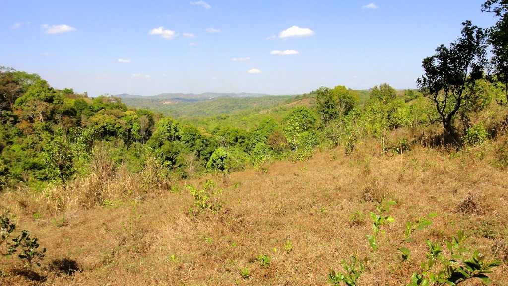 Vue plongeante sur la jungle du Mondolkiri à la saison sèche