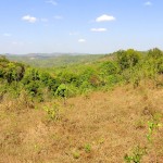 Vue plongeante sur la jungle du Mondolkiri à la saison sèche