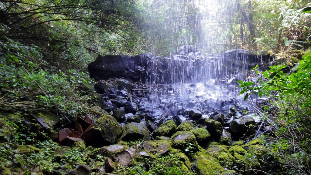 Cascade au coeur de la jungle du Mondolkiri