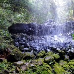 Cascade au coeur de la jungle du Mondolkiri