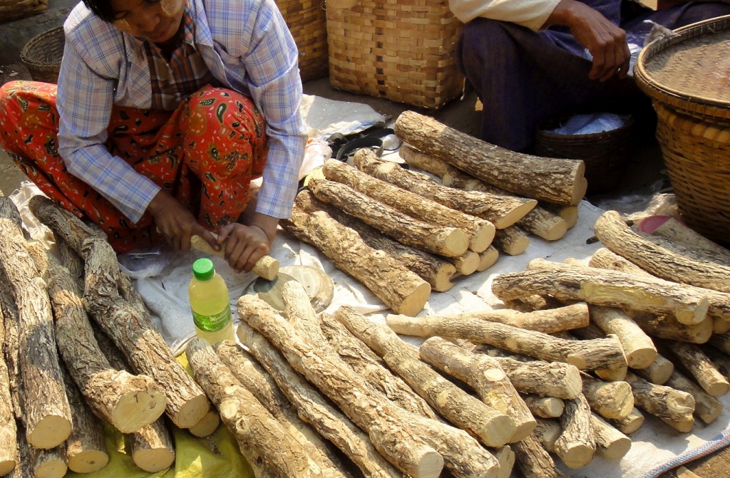 Démonstration de la préparation du thanaka sur le marché