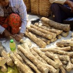 Démonstration de la préparation du thanaka sur le marché