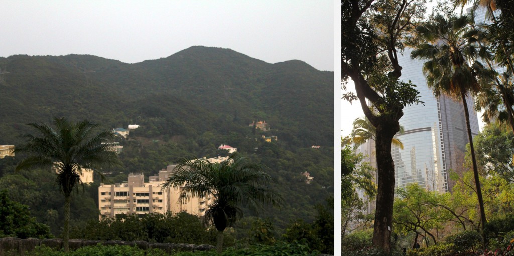 Quand la nature et le béton se rencontre à Hong Kong