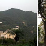 Quand la nature tropicale et le béton se rencontre à Hong Kong