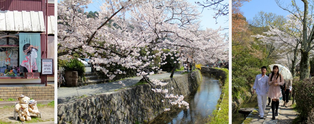 Sur la chemin des philosophes à Kyoto pour contempler la floraison des cerisiers