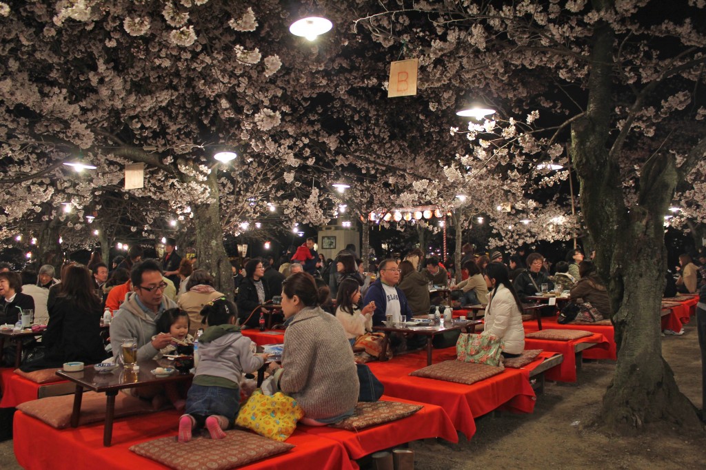 Repas sous les cerisiers en fleur au parc Maruyama-koen à Kyoto
