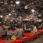 Repas sous les cerisiers en fleur au parc Maruyama-koen à Kyoto