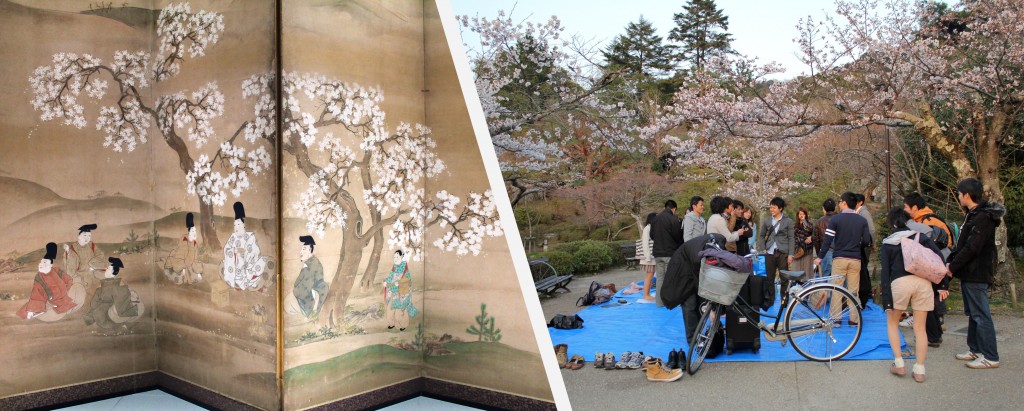 Comme leurs ancêtres les japonais fêtent le Hanami en pique-niquant sous les cerisiers en fleurs