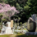 Cimetière japonais à Kyoto