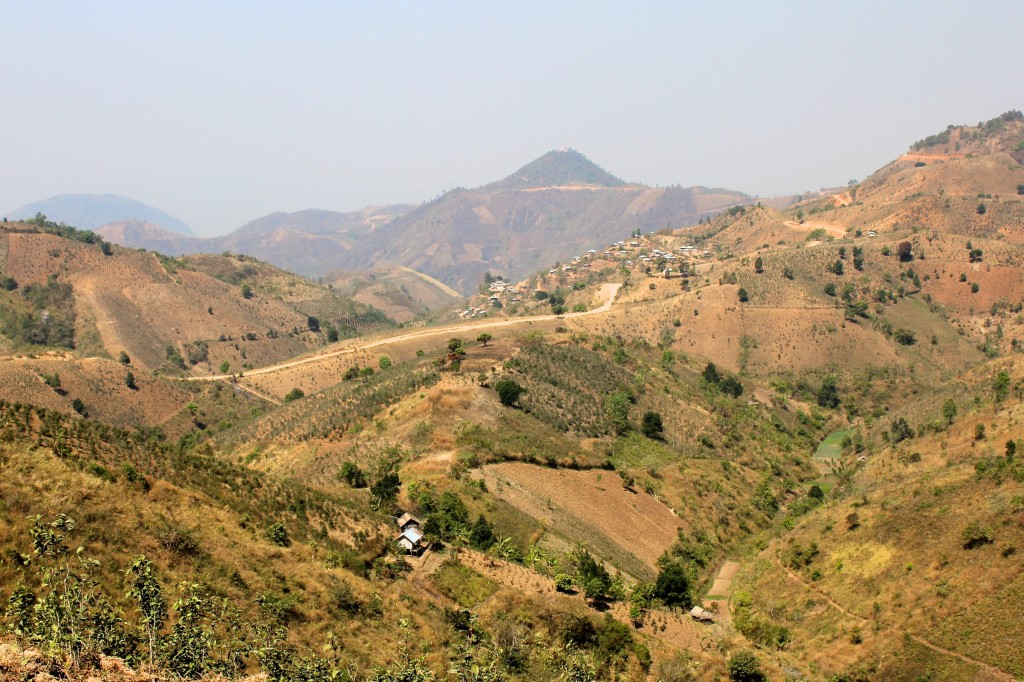 Paysages montagneux et plantations de thé