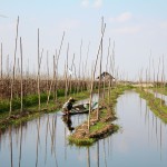 Fermier intha dans un jardin flottant