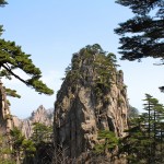 Pics rocheux et pins endémiques des Yellow Mountains