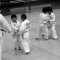 Judokas en herbes