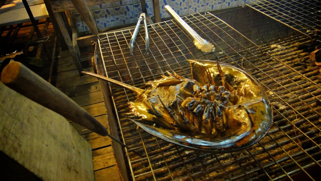 Limule grillé sur un stand de restaurant du village de pêcheurs de Bang Bao