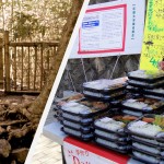 Et pour le déjeuner au milieu des temples de Kyoto, rien de mieux qu'un bento sur le pouce