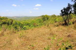 Trek dans le Mondolkiri