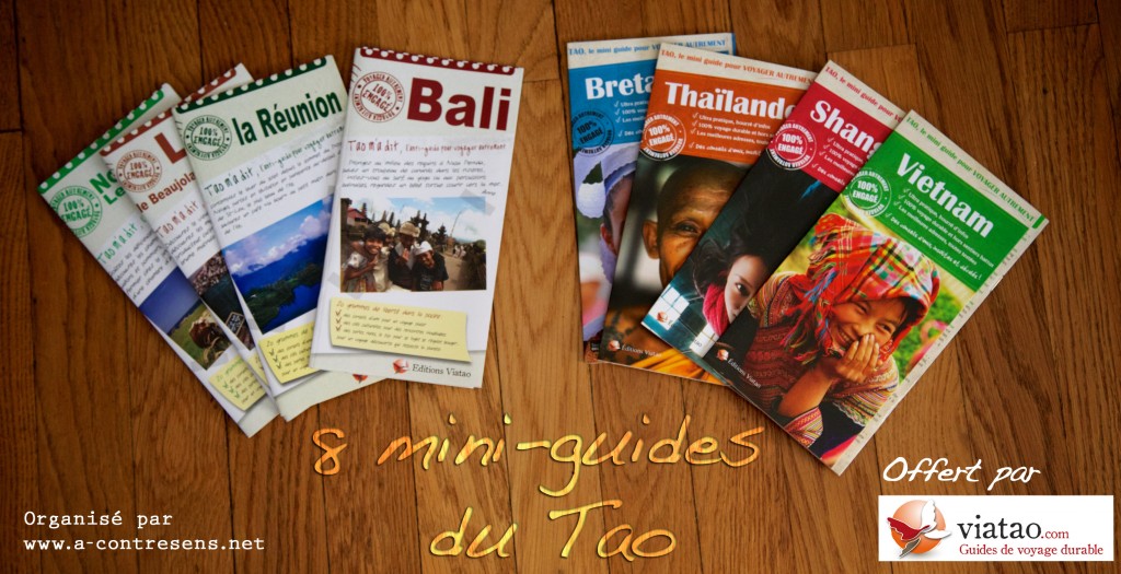 Découvrez les mini-guides du Tao