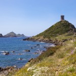 Tour génoise de l'ile des sanguinaires à Ajaccio