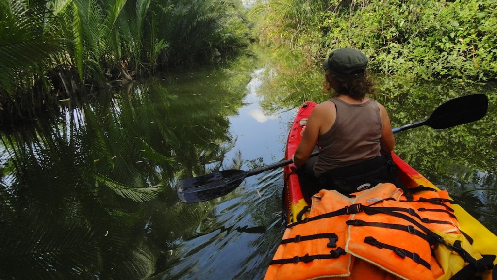 Au milieu de la mangrove à Kampot en kayak