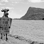 Rien à ajouter, on est bien en Suisse