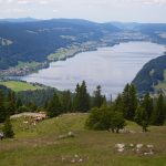 Depuis la dent du Vaulion, on surplombe la vallée de Joux