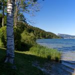 Balade le long du lac de Joux dans le canton de Vaud en Suisse