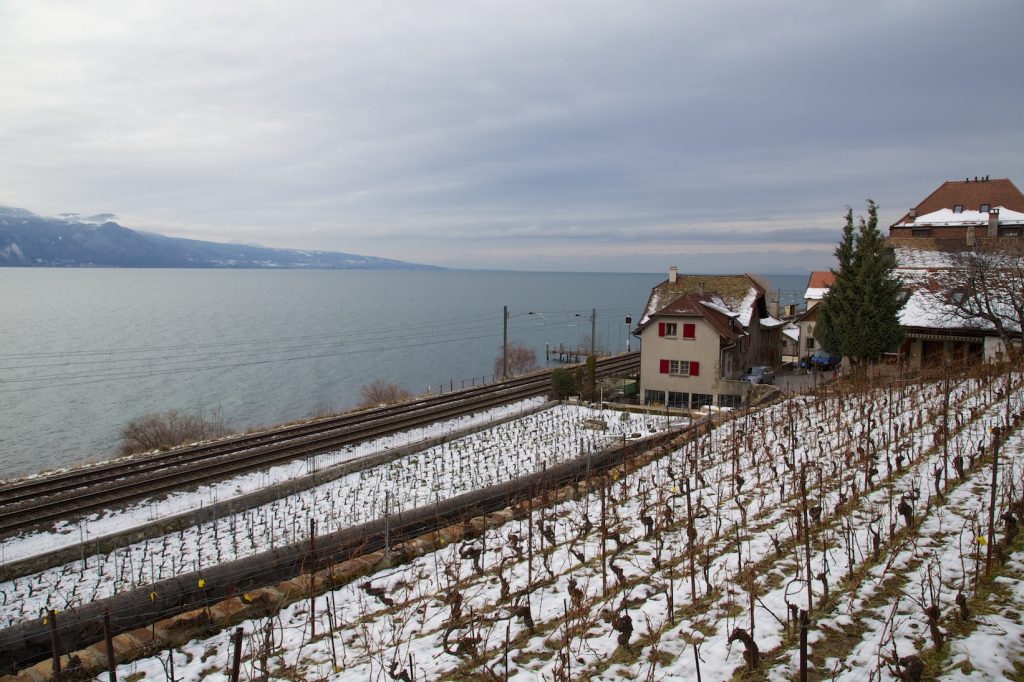 Notre première rencontre furtive avec les terrasses de Lavaux, un hiver sous la neige