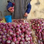 Figue de barbarie prête à déguster sur le pouce