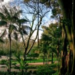 Lisbonne: Parc d'Estrela (Jardim da Estrêla)