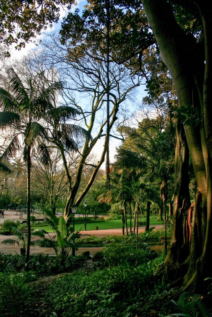 Lisbonne: Parc d'Estrela (Jardim da Estrêla)