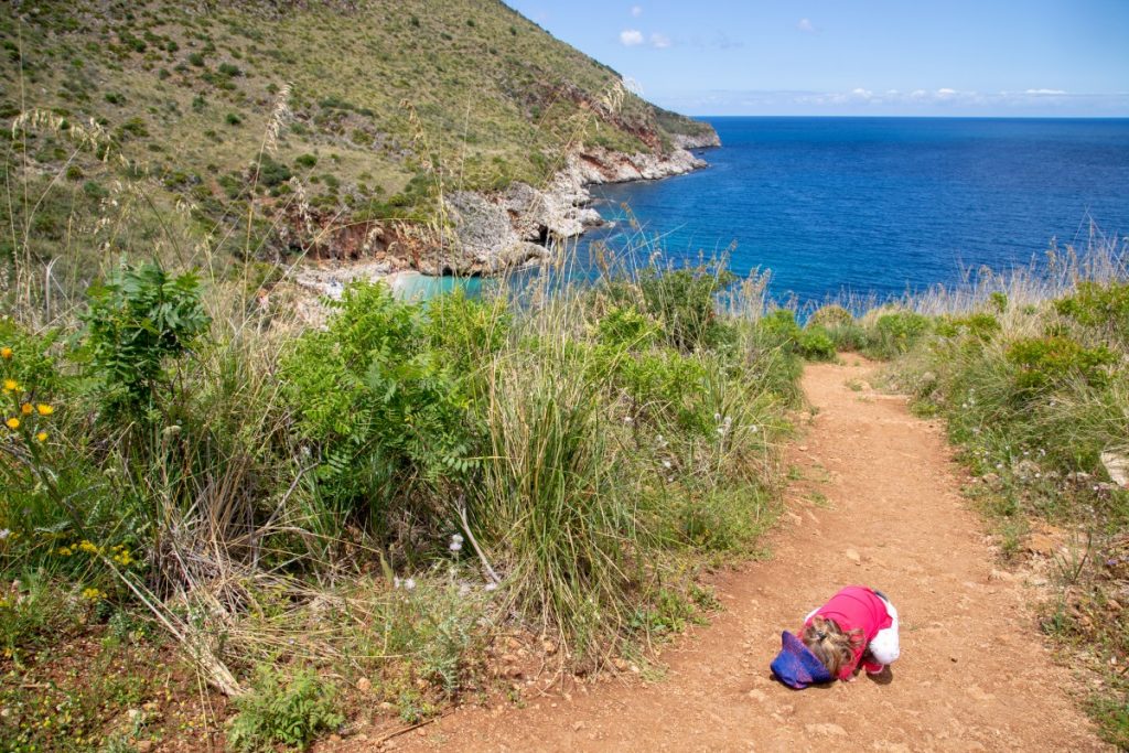 Mini-baroudeuse fatiguée sur le sentier de la réserve du Zingaro