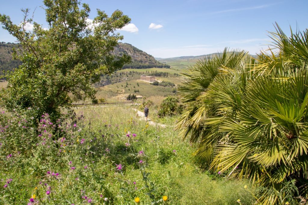 Ballade surprenante autour du temple grec de Sagesta